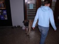 artu� a blinda